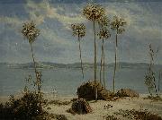 William Westall Gulph of Carpentaria oil painting reproduction
